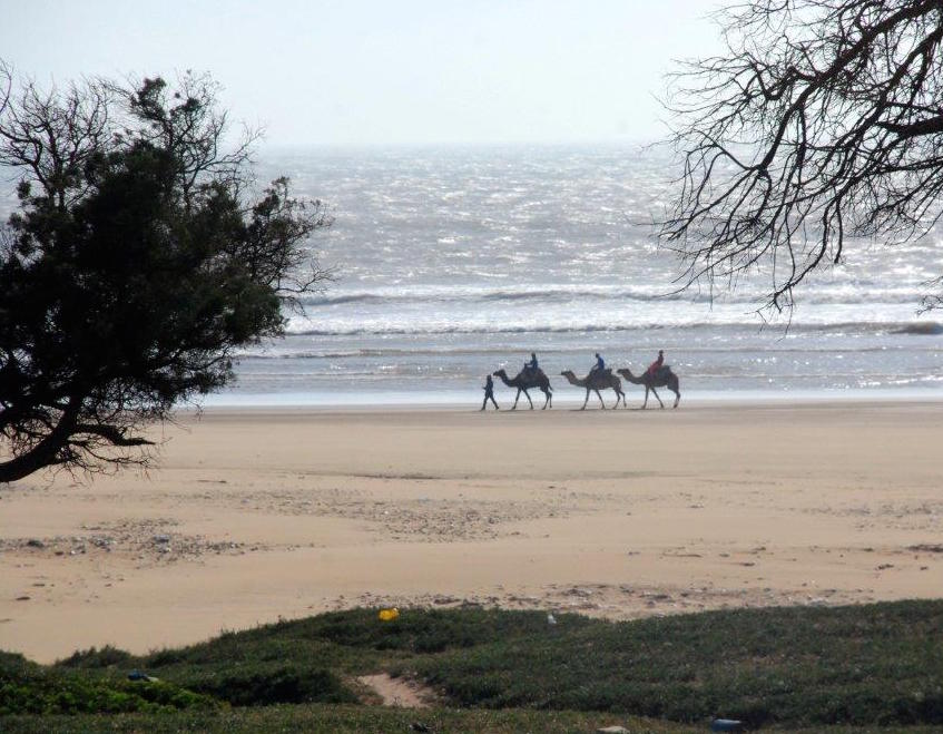 Que visitar en Agadir - Agadir (41)