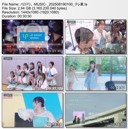 [TV-Variety] ハロドリ。- 2025.08.18