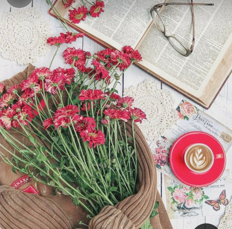 Screenshot_20230911_224932_Pinterest