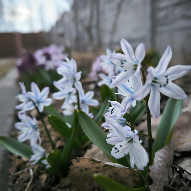 IMG_20250404_175702