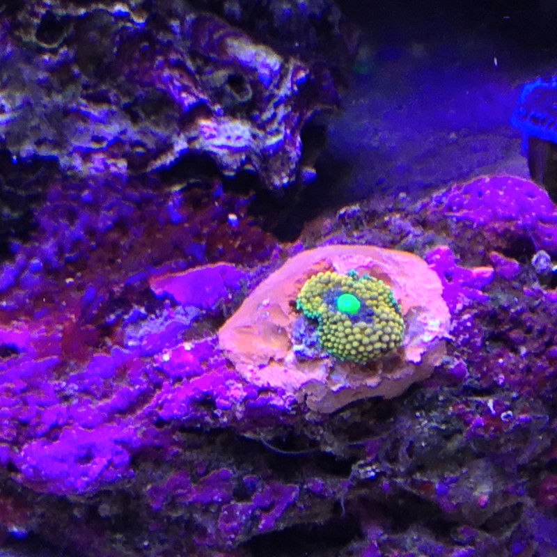 4A2F1A19-6005-49C0-9D07-74229EB83F66