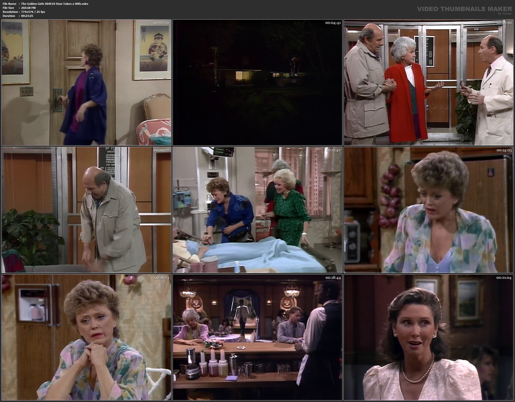 The Golden Girls S04E10 Stan Takes a Wife.mkv