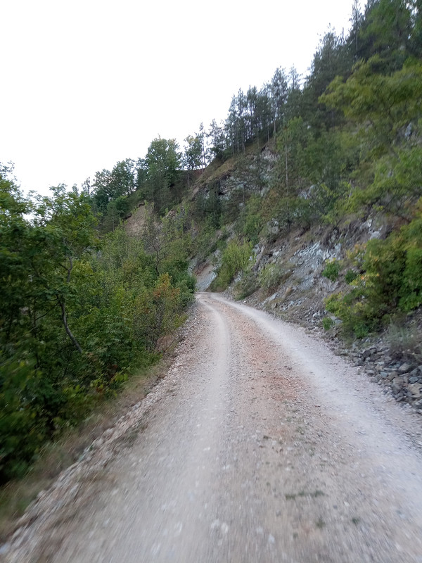 IMG-20240825-184253-087.jpg