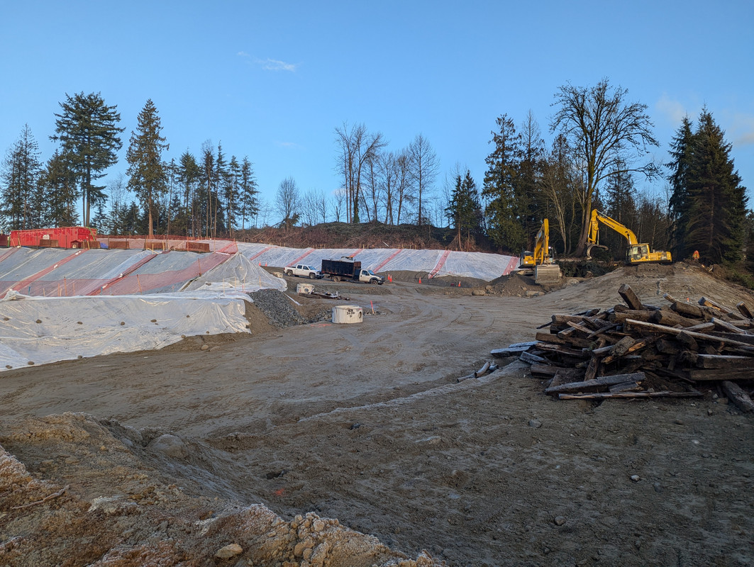 PXL_20250117_170348596