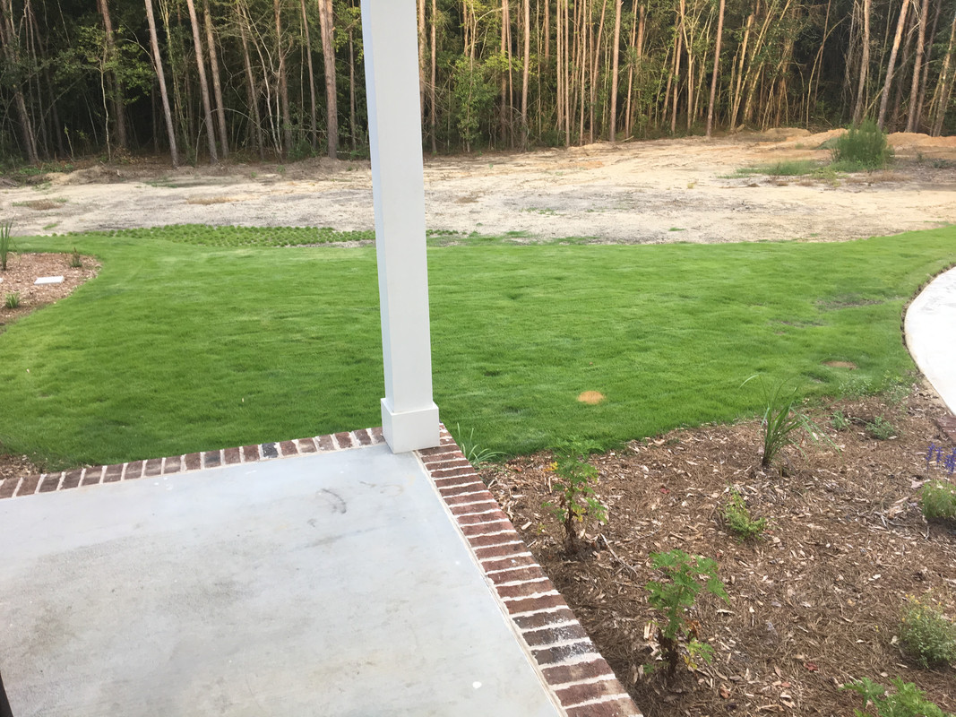 919B0BD0-280F-45BE-819C-1EFFE66DE995