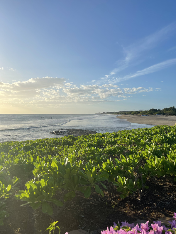 Yoga Retreats with Jess Bellofatto