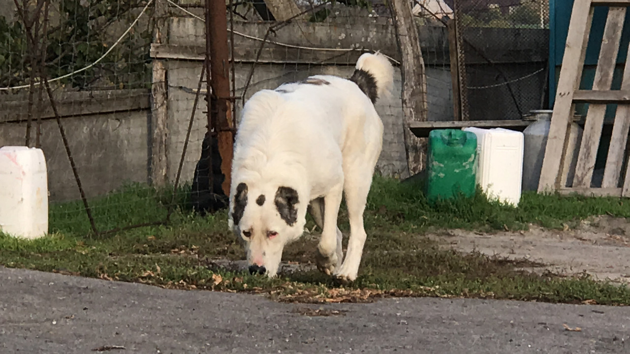 1BD7AAF1-E116-4403-B0AC-DD1D52334C32