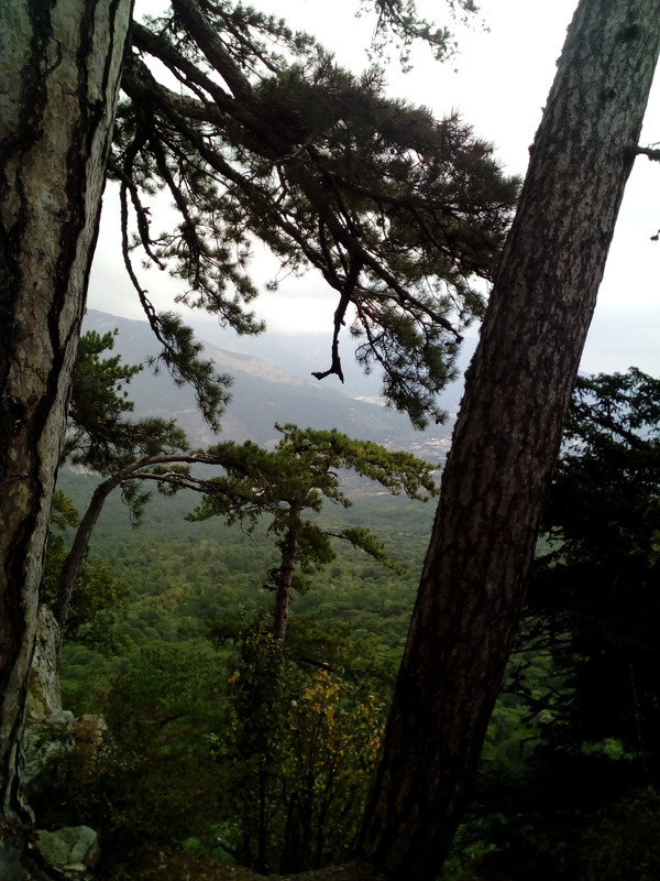 IMG_20170922_123424_1CS