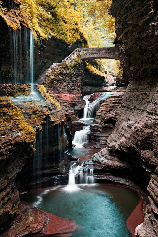 turqwatkins-glen.jpg