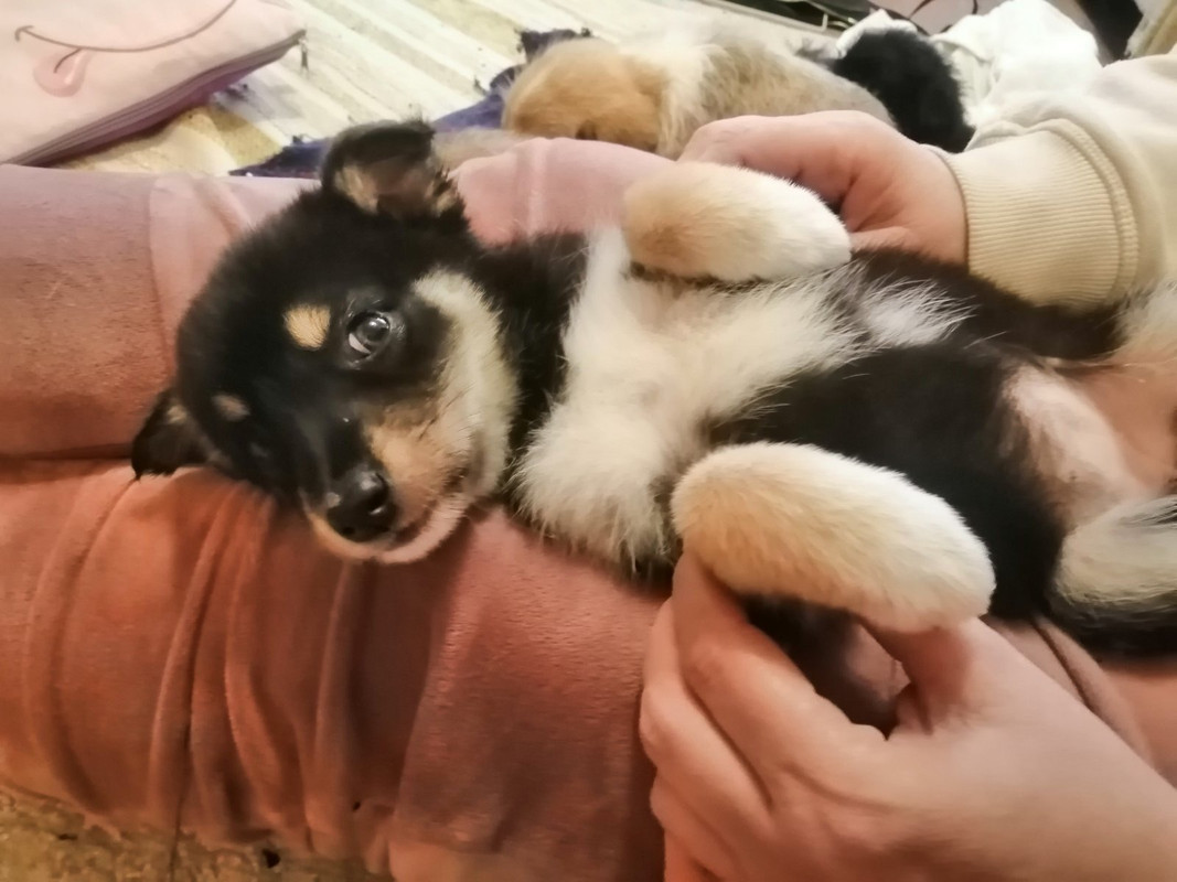 88155111-1AA2-4C43-84EE-FFA45A3BE780