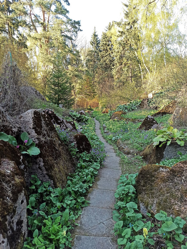 490357119_9523958301029011_306509554033571320_n