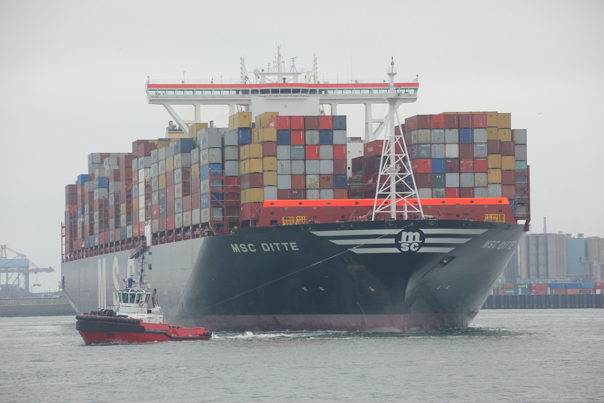 hudson msc ditte©andriessen (2)