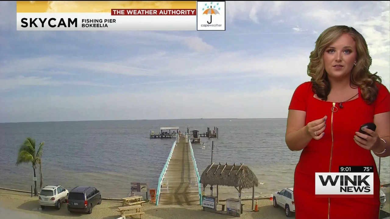 23 May - 14.00.00 - WINK News @ 9 00AM..ts_snapshot_00.06.28_[2020.05.23_17.11.58]