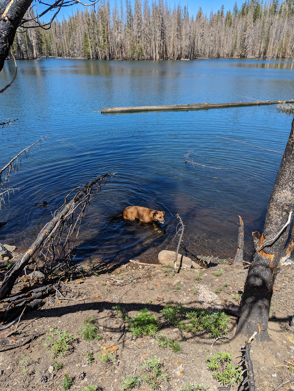 PXL_20250613_214013212