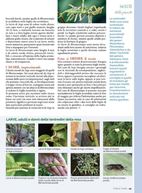 Pol Ver Mag 2022 (8)