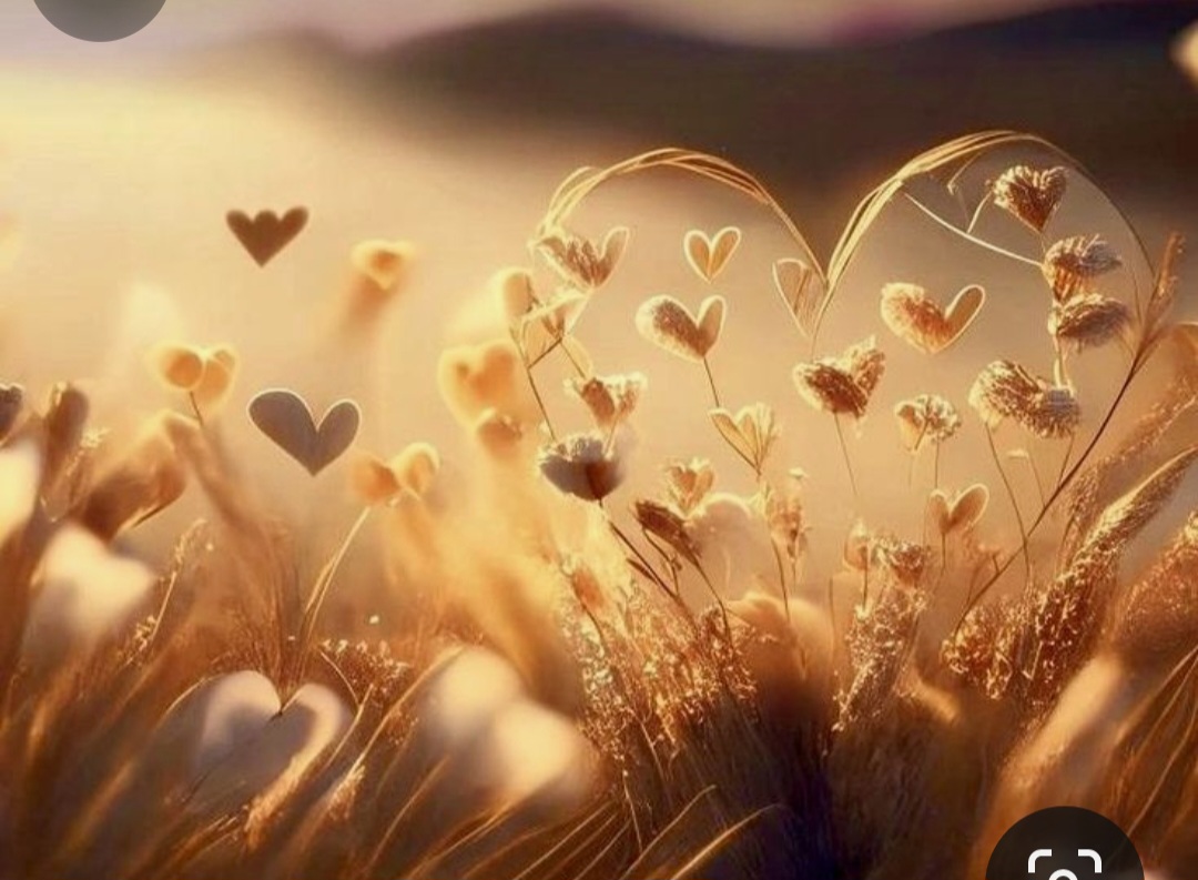 Screenshot_20240210_224522_Pinterest