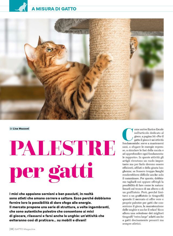 Ga Ma Feb-Mar 2025 (5)