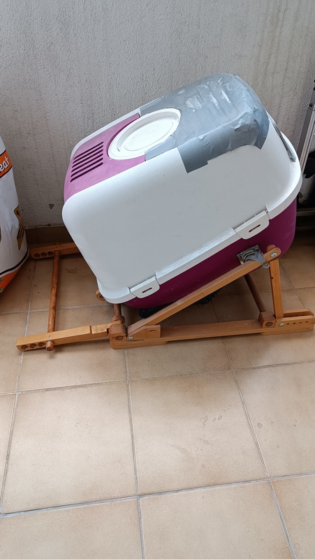 3_IMG_20240219_164056