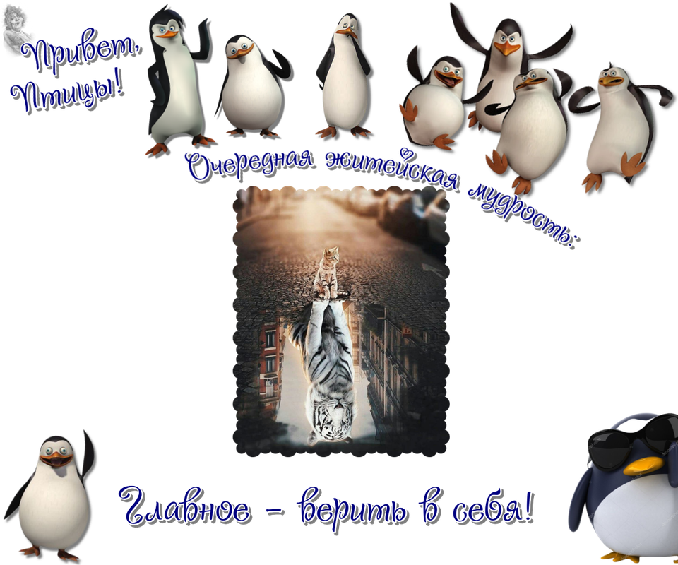 https://i.postimg.cc/TYtdQyr1/07-04.png