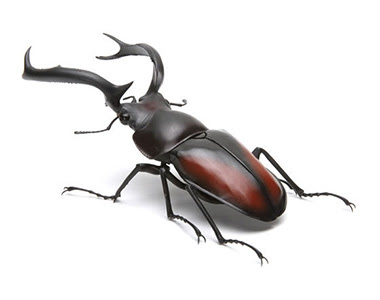 2021 Terrestrial Invertebrate of the Year, the Kaiyodo Revogeo Giant Water Bug Rhaetulus-didieri-Bandai