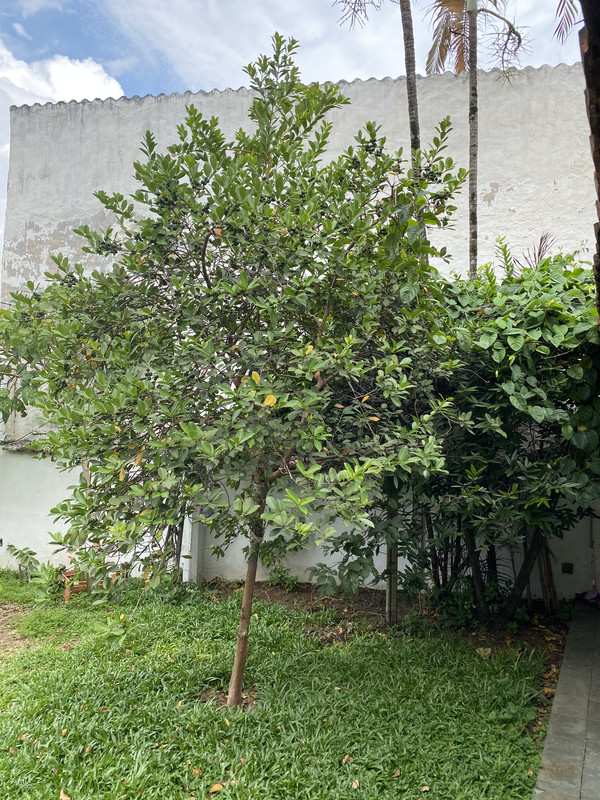 5C86CDAB-1726-4E5C-BF00-E862F50CA727