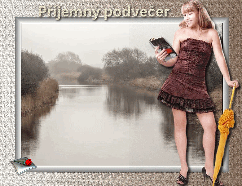 PODVE-ER.gif