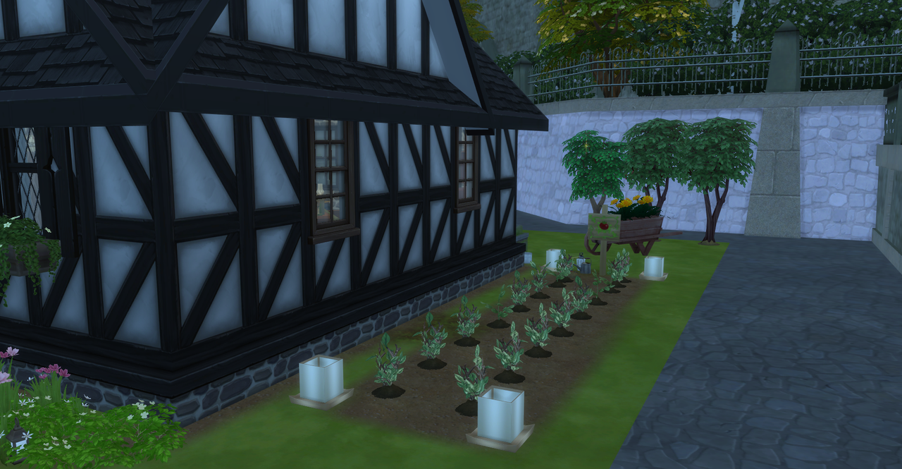 dylans-side-garden.png