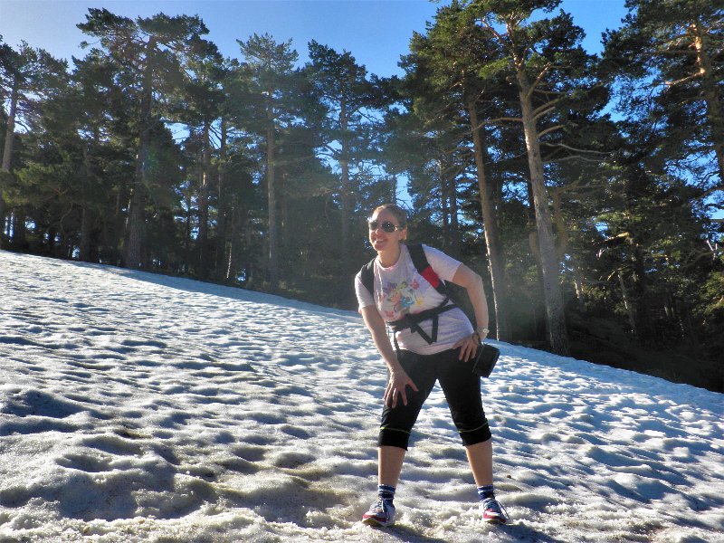 RUTA CAMINO SCHMIDT-9-4-2011-MADRID/SEGOVIA - Paseando por España-1991/2016 (3)