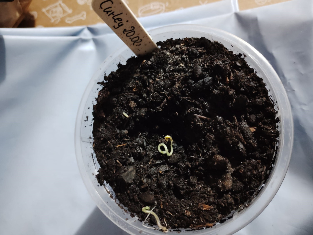 Whats App Image 2026 03 05 at 21 04 04