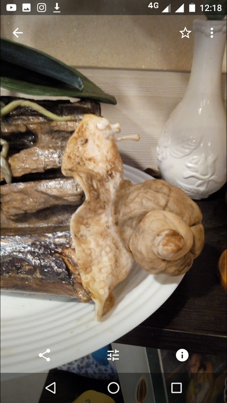 Screenshot_20180527-121824