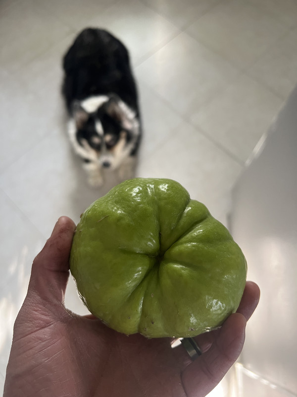 8994E8E3-65C9-4585-8284-FEE5F05CAA10