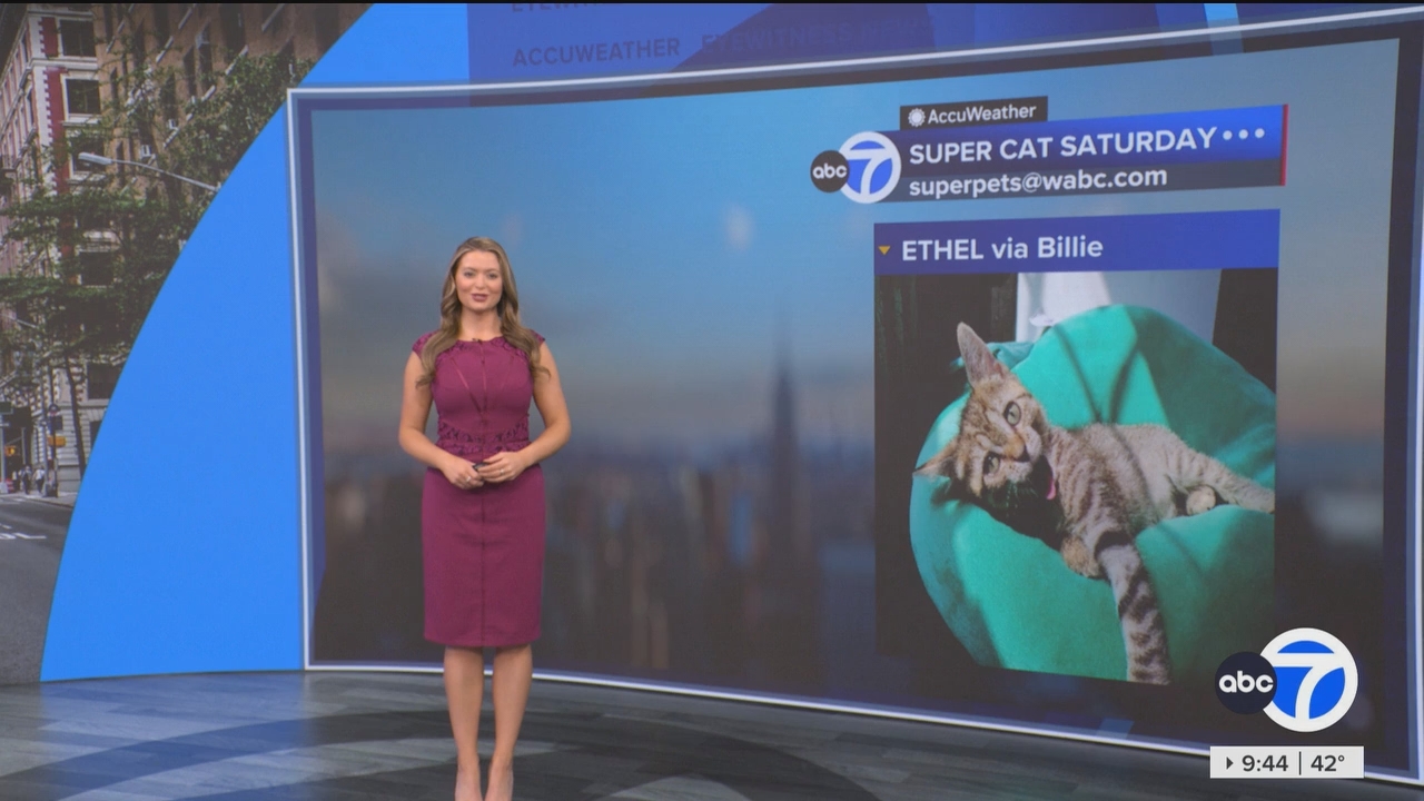 Eyewitness News This Morning_20250308_14001500.ts_snapshot_00.45.22.153