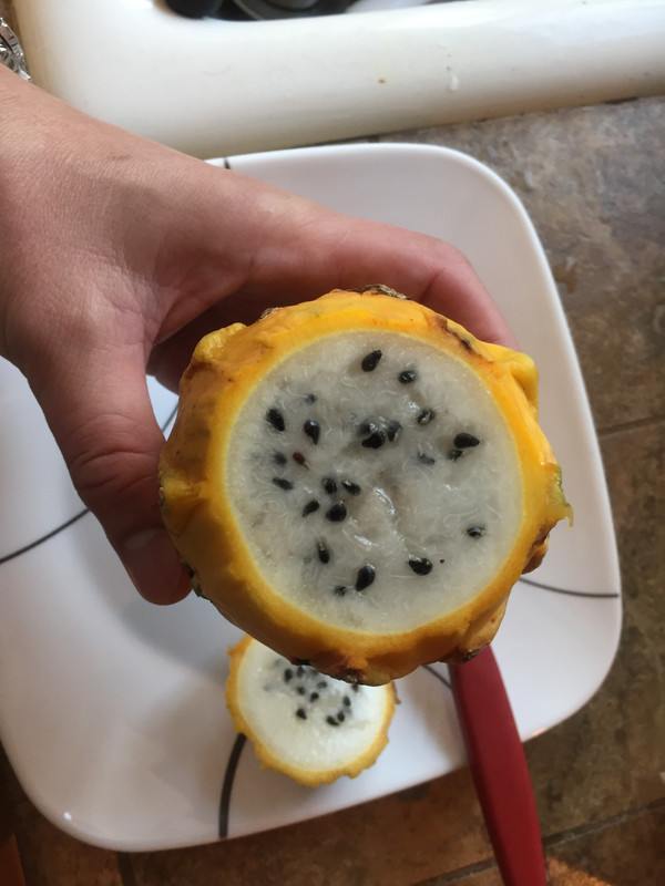 B52F54D7-2B9B-4A58-B8F0-73771DF03737