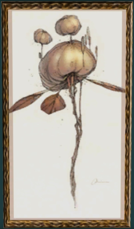 Still Life - Kite Plant