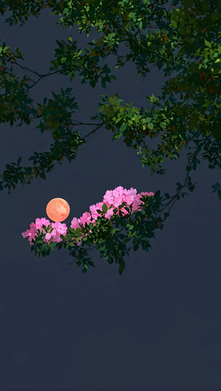 499488330_18511122922035421_8837976718999013306_n (1)