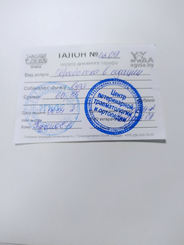 изображение_viber_2022-11-10_16-45-15-037