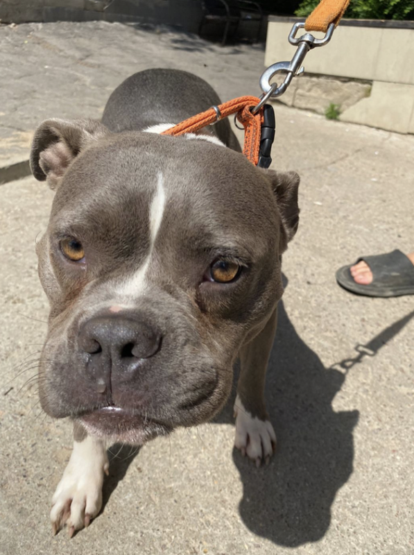 Снимок экрана 2024-06-20 в 20.48.20