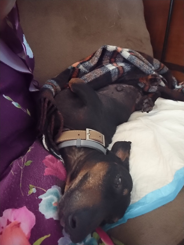 [Image: DSC-0588.jpg]