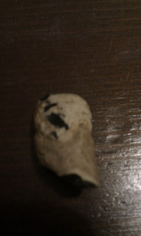 IMAG0426