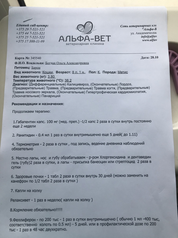 6208522C-88C4-40A4-9716-F224BB7A1D2A