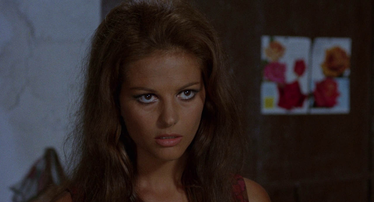 vlcsnap-2023-07-30-21h34m19s444