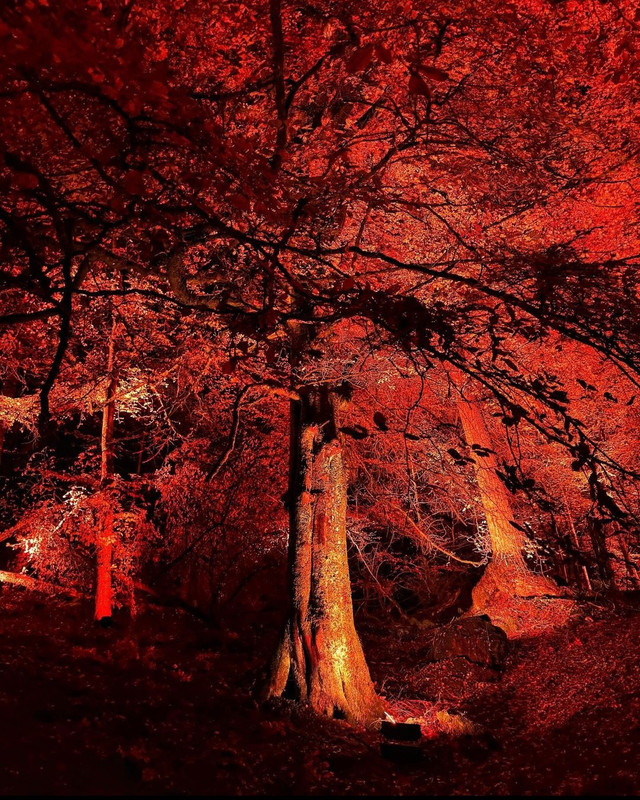 Screenshot_20231208_215253_Instagram