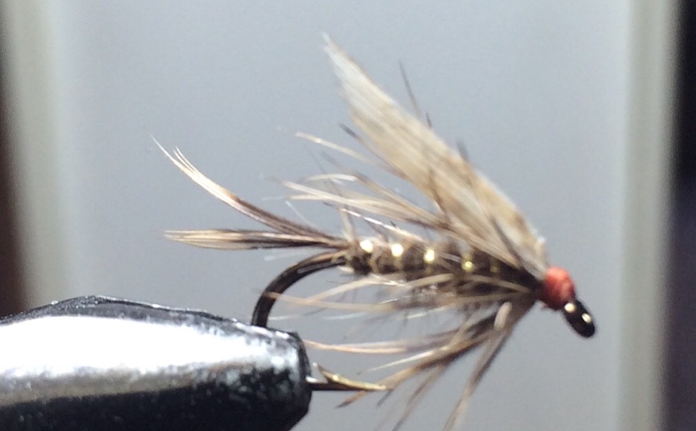 E947D86A-CDE7-46C3-9200-4CD827240945