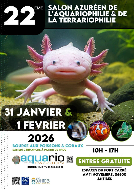 affiche 2026 (compressée)