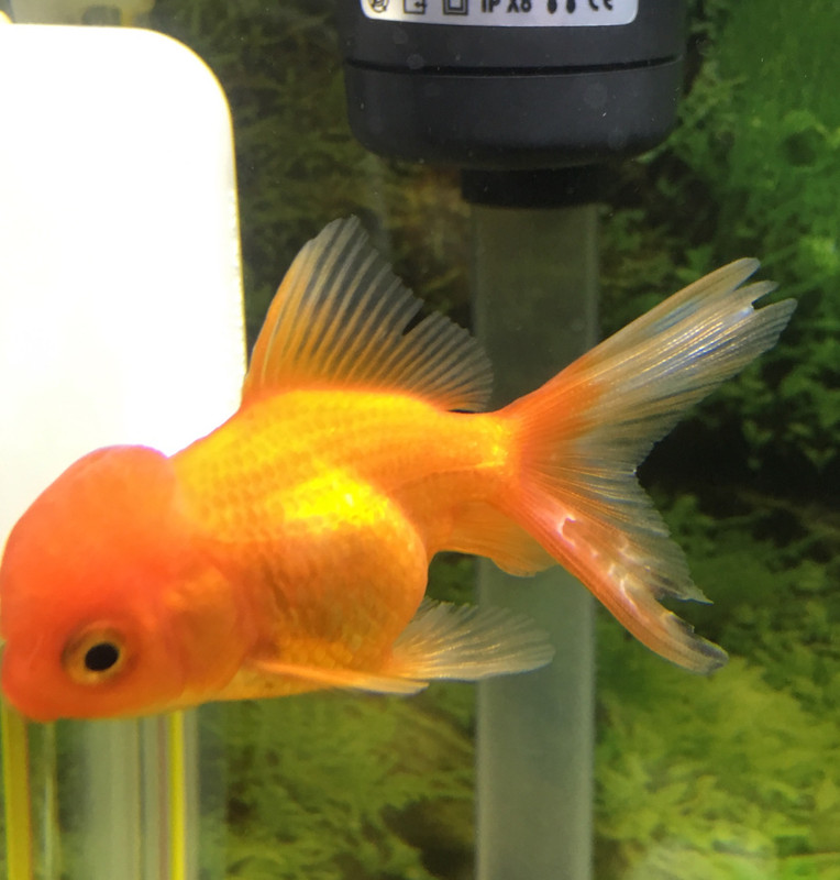 9F105F9A-D730-4351-88B8-3C6A23BD4AAB