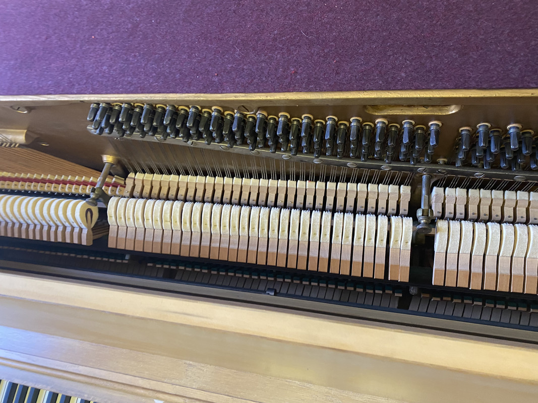 D1575019-3D29-4AE6-A7D4-13F4111E7A6C