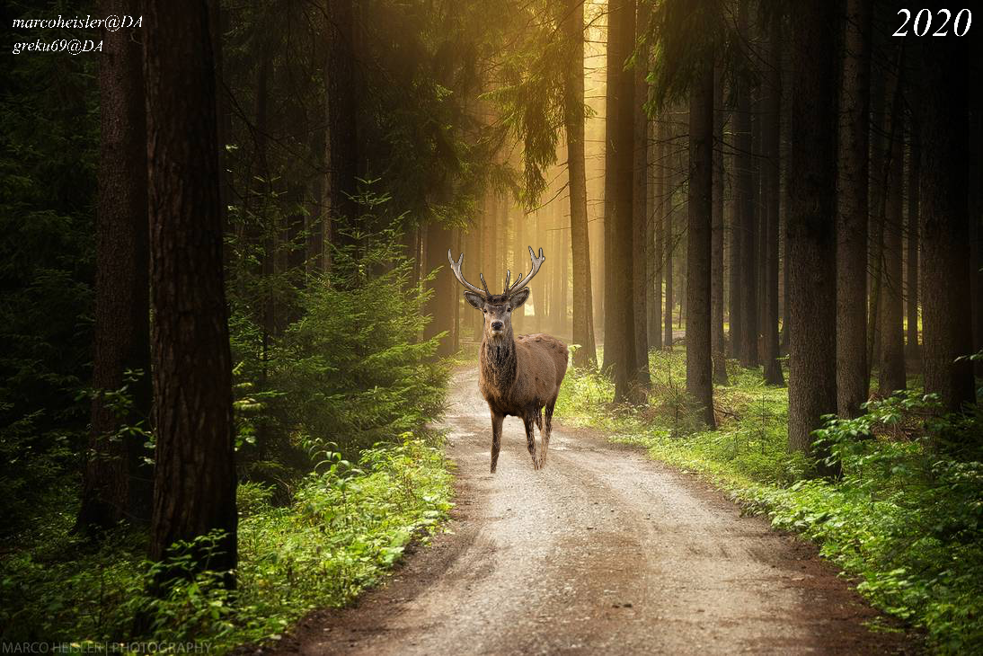 F5A84E8C-D0FA-4920-981D-ED8EEDBB0FC7