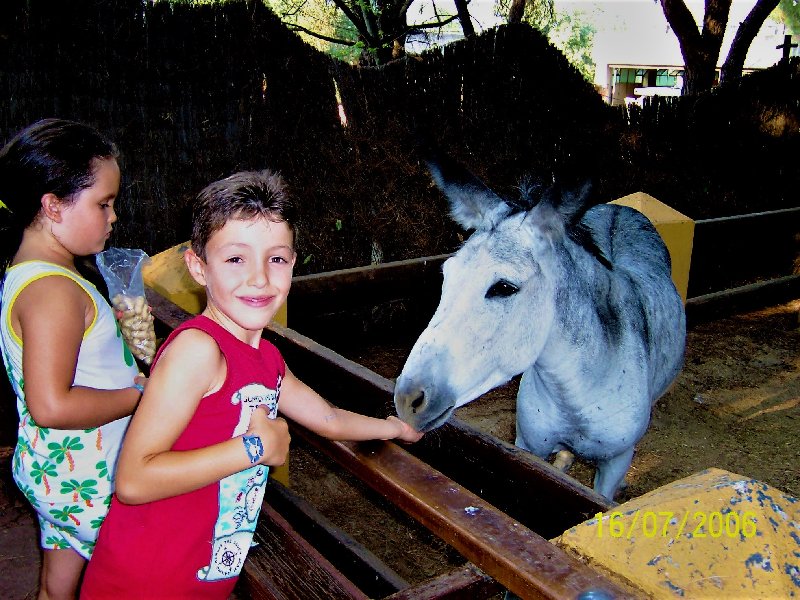 ZOO DE MADRID-1992/2001/2006/2007-MADRID - Paseando por España-1991/2016 (16)