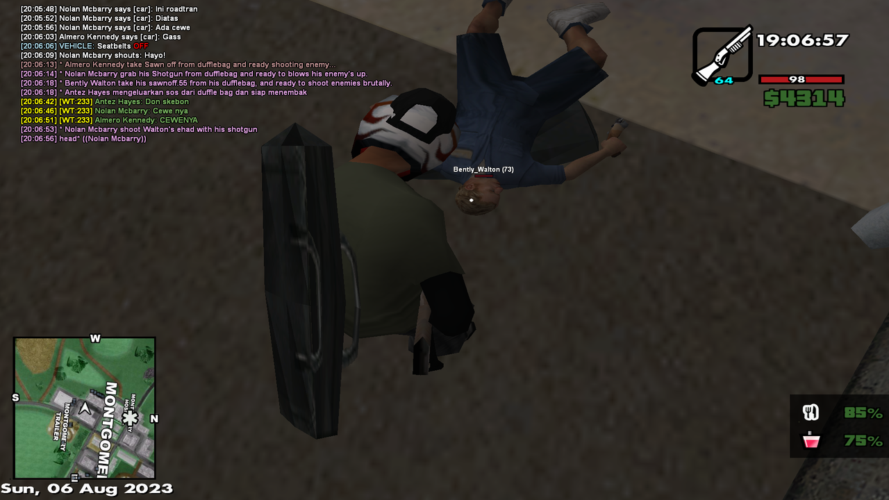 samp-06-08-2023-20-06-58.png