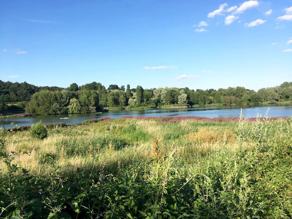Nature-park-amwell-HD.jpg